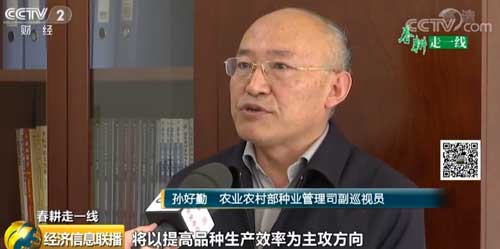 【春耕走一線】產(chǎn)量高更要品質(zhì)好 水禽自主育種前景廣闊