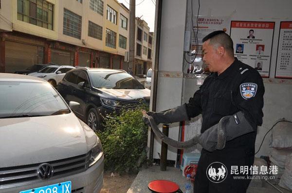 QQ圖片20190413102405 QQ圖片20190413102405