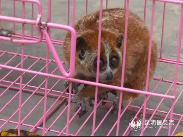 QQ圖片20190413102418 QQ圖片20190413102418