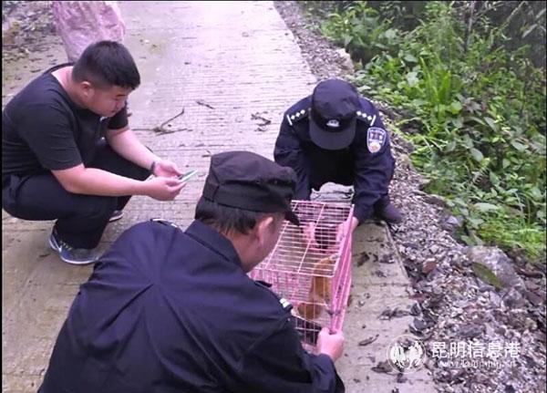 QQ圖片20190413102421 QQ圖片20190413102421