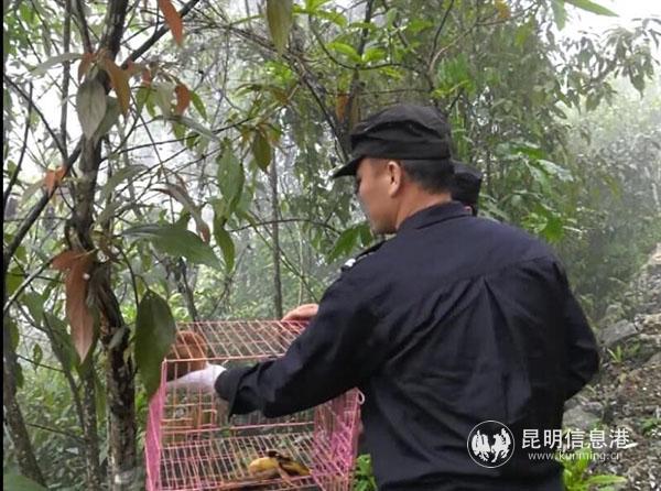 QQ圖片20190413102423 QQ圖片20190413102423