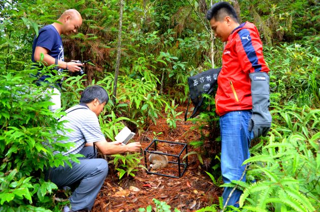 放生野生猴類20160725044503379 - 副本