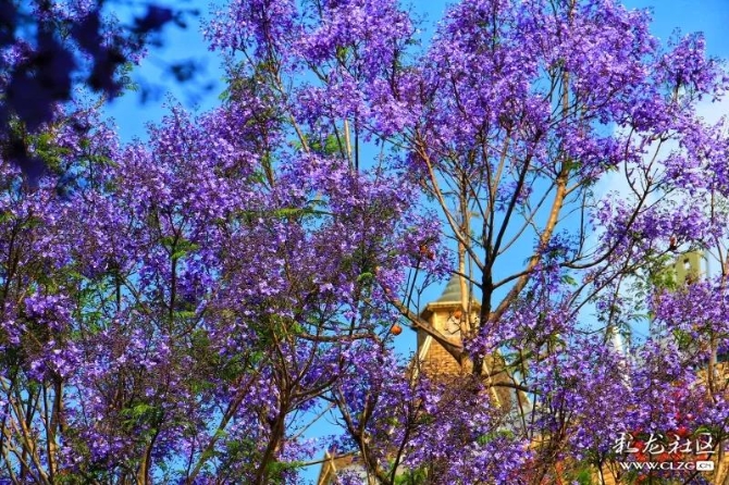 微信圖片_20190416143049 微信圖片_20190416143049