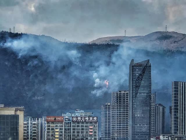 00300549391_8ad10c5e