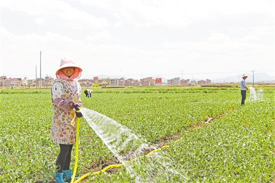 res01_attpic_brief (1)