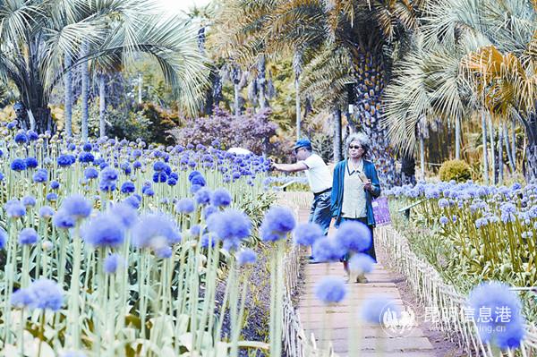 微信圖片_20190417201659 微信圖片_20190417201659