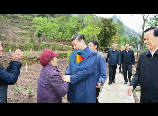 QQ截圖20190418091048