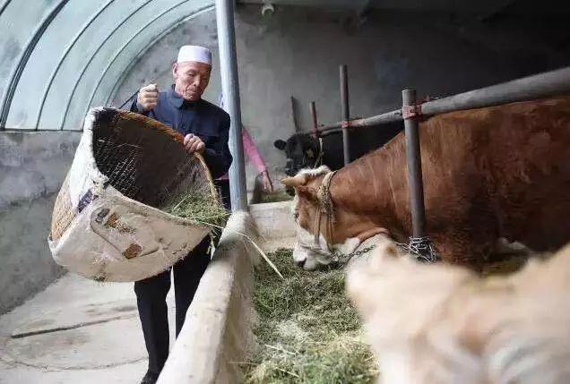 W020190418498619542302