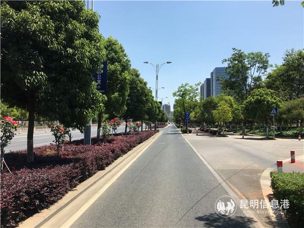 記者乘坐的K15行駛在輔道上