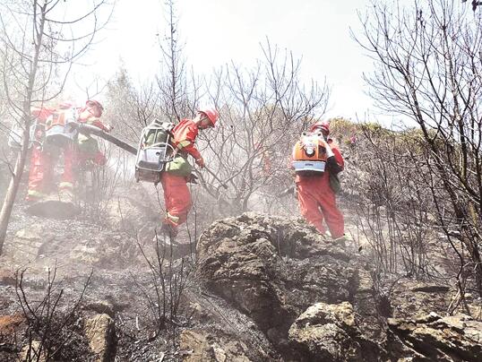 00300555504_efe5dfae 00300555504_efe5dfae