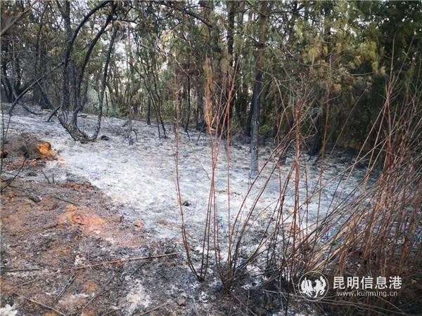 mmexport1555717656074