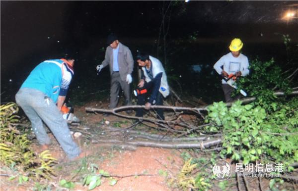 mmexport1555717671144