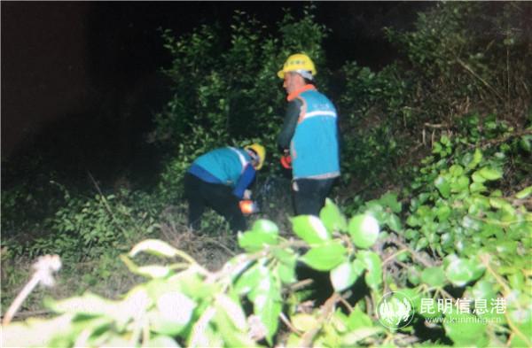 mmexport1555717673334