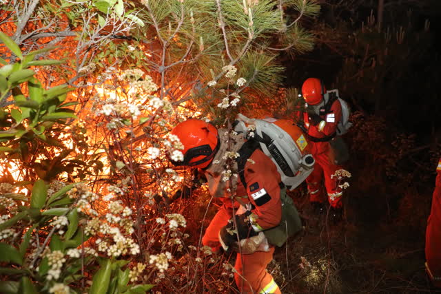 大理巍山山火頻發(fā)，森林消防一天一夜輾轉(zhuǎn)兩個火場撲救 (3)