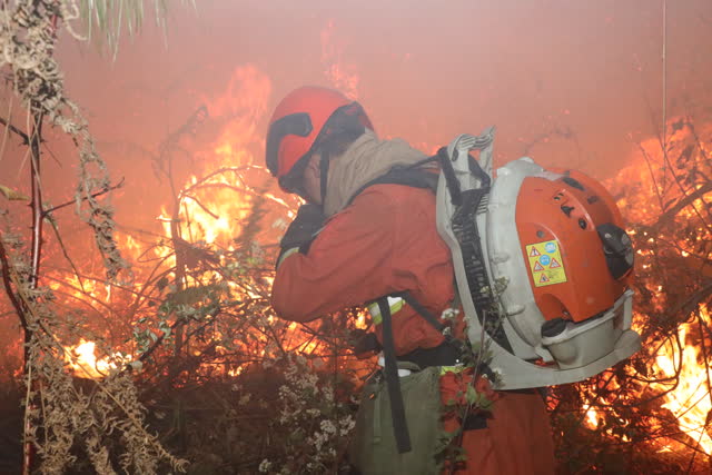 大理巍山山火頻發(fā)，森林消防一天一夜輾轉(zhuǎn)兩個火場撲救 (7)