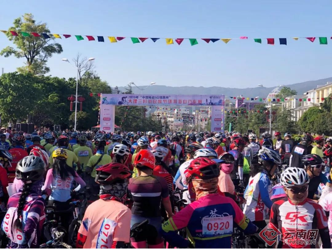 00300564913_739729ad 00300564913_739729ad