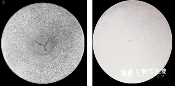 微信圖片_20190423154621 微信圖片_20190423154621