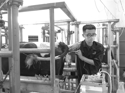 guok94140_b guok94140_b