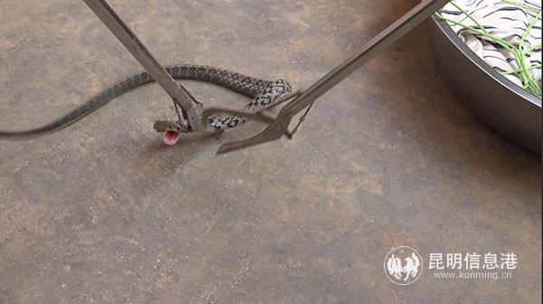 微信圖片_20190426145101 微信圖片_20190426145101