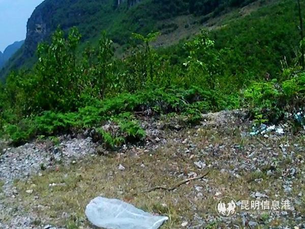 微信圖片_20190426145105 (1) 微信圖片_20190426145105 (1)