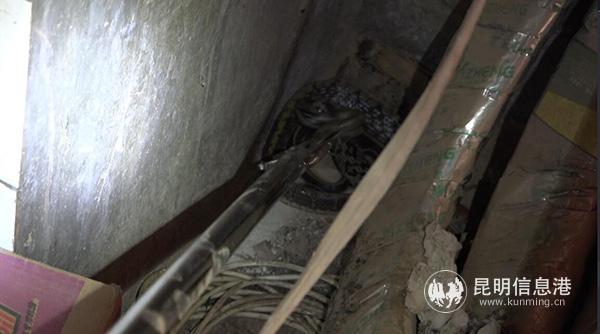 微信圖片_20190426145108 (1) 微信圖片_20190426145108 (1)