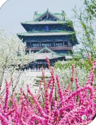 在園藝中感悟自然之美