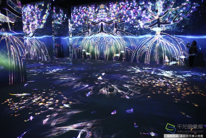 游客在植物館數(shù)字展廳參觀（圖片來源：tuku.qianlong.com）。千龍網(wǎng)記者 鄂曉穎攝