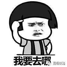 5cc819d21159d 5cc819d21159d