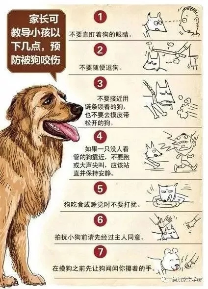 5cc845c3d0fa5 5cc845c3d0fa5