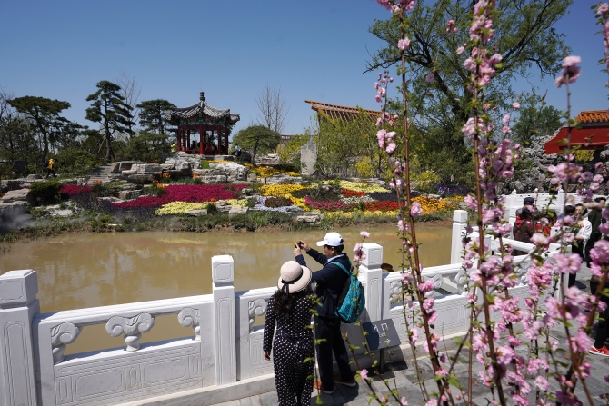 20190501153635_8113 20190501153635_8113