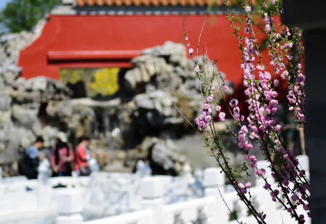 20190501153711_3278 20190501153711_3278