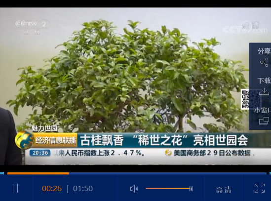 點(diǎn)擊觀看視頻 點(diǎn)擊觀看視頻