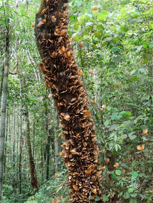 1556681629792-1556681598706 1556681629792-1556681598706