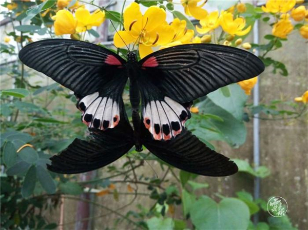 1556681671226-1556681598404 1556681671226-1556681598404