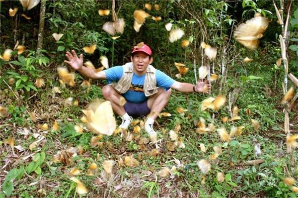 1556681671294-1556681598255 1556681671294-1556681598255