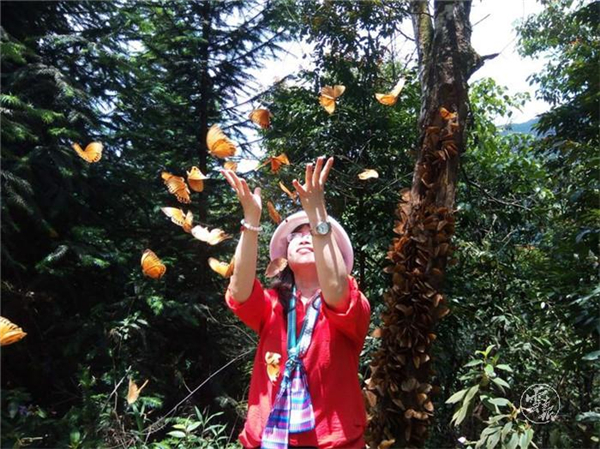 1556681671351-1556681598086 1556681671351-1556681598086