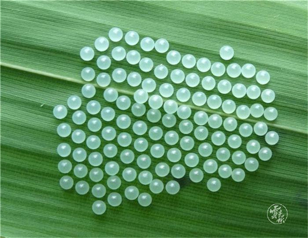 1556681640399-1556681598116 1556681640399-1556681598116