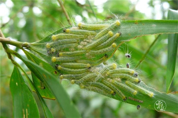 1556681646113-1556681598106 1556681646113-1556681598106