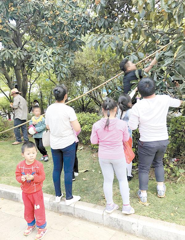 微信圖片_20190502194820 微信圖片_20190502194820