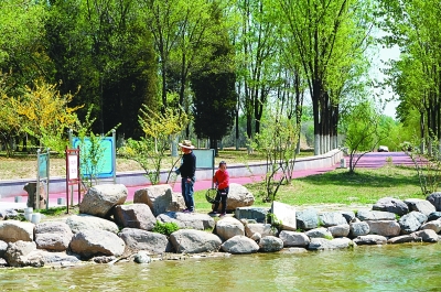 北京世園會(huì)的綠色輻射力 北京世園會(huì)的綠色輻射力