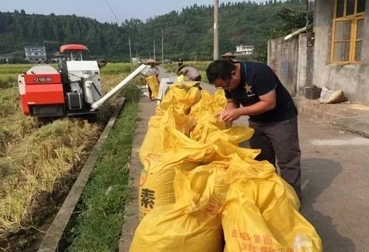 640.webp (5) 640.webp (5)