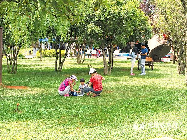 1962589523 1962589523