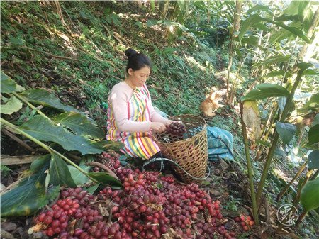 5ccbff28b3577 5ccbff28b3577