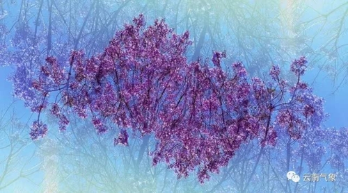 9fc70616-fa9c-45d2-b3d8-b94919c42054_w640 9fc70616-fa9c-45d2-b3d8-b94919c42054_w640