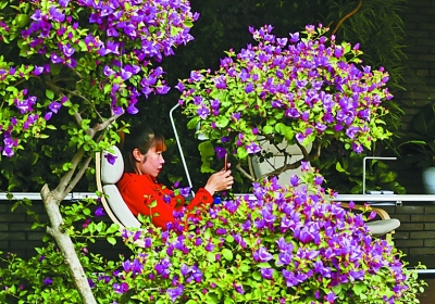 在鳥語花香里詩意棲居——從北京世園會看園藝業(yè)發(fā)展