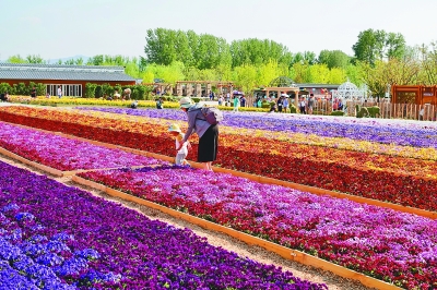 在鳥語花香里詩意棲居——從北京世園會看園藝業(yè)發(fā)展