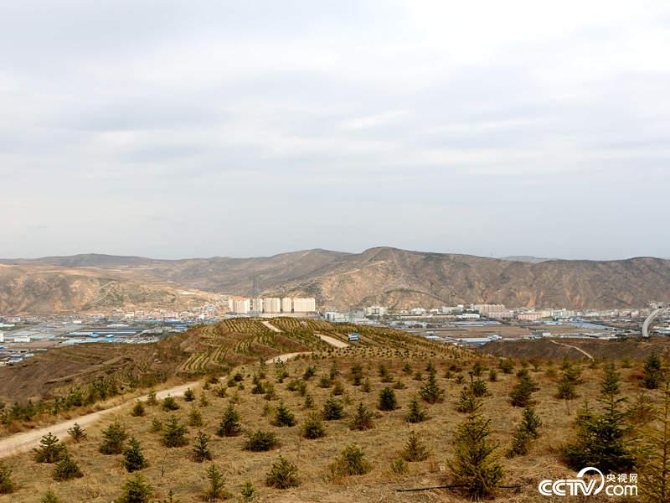 位于定西市安定區(qū)南山上的“福州林”