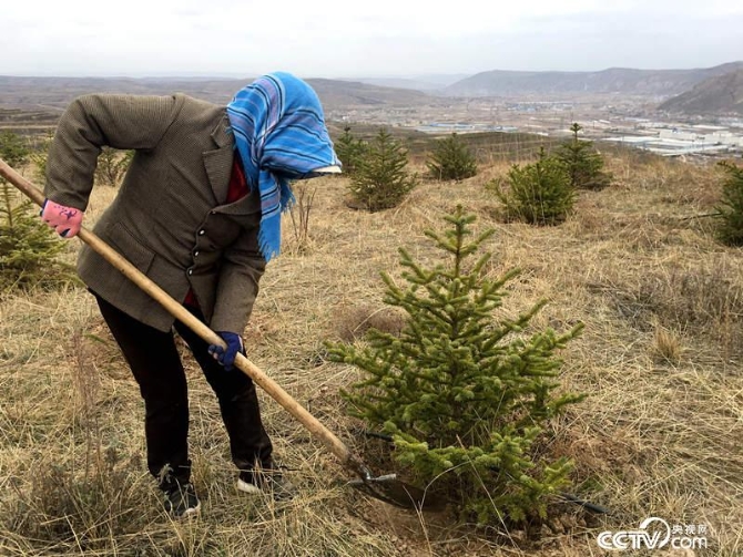 “福州林”為當?shù)剞r戶提供了植樹務工的機會。