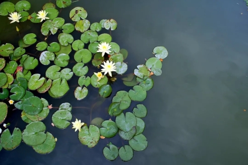 640.webp (10) 640.webp (10)