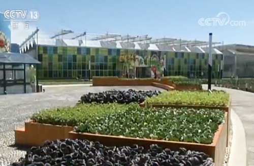 魅力世園會：美麗景觀引游客 綠色產(chǎn)業(yè)富農(nóng)民